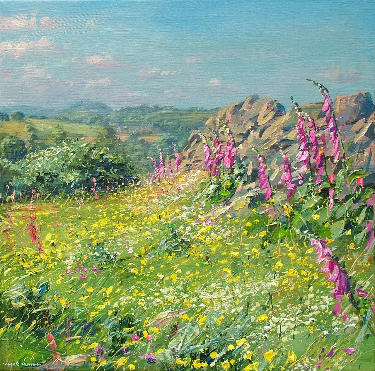 Mark Preston - foxgloves, ashleyhay